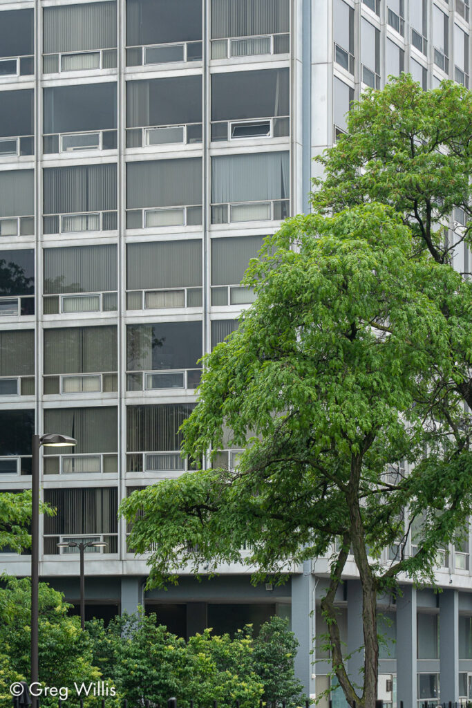 Detail, The Pavillion, Lafayette Park